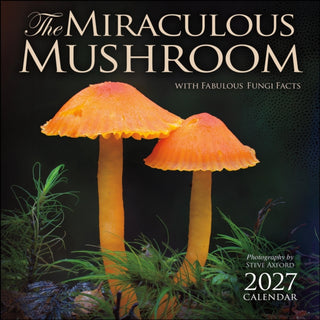Cover image for 9798881607104 - Miraculous Mushroom 2027 Wall Calendar