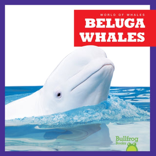 Cover image for 9798885245869 - Beluga Whales