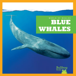 Cover image for 9798885245890 - Blue Whales