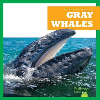 Supplemental image for 9798885245920 - Gray Whales