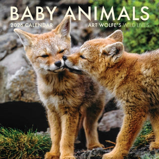 Cover image for 9798887621562 - 2026 Baby Animals Wall Calendar