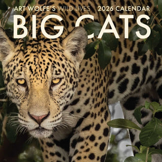 Cover image for 9798887621579 - 2026 Big Cats Wall Calendar