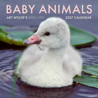 Cover image for 9798887621982 - 2027 Baby Animals Wall Calendar