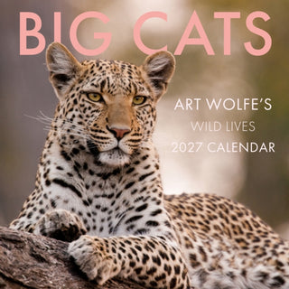 Cover image for 9798887621999 - 2027 Big Cats Wall Calendar