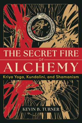 Cover image for 9798888500699 - The Secret Fire of Alchemy