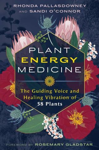 Cover image for 9798888501757 - Plant Energy Medicine