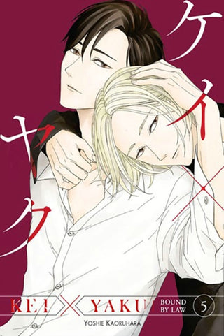 Supplemental image for 9798888771310 - Kei X Yaku: Bound By Law 5