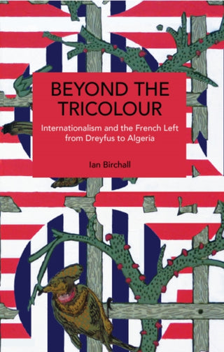 Cover image for 9798888908037 - Beyond the Tricolour