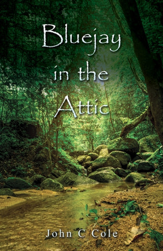Cover image for 9798889109587 - Bluejay in the Attic