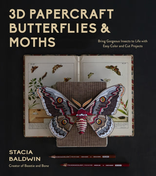 Cover image for 9798890034830 - 3D Papercraft Insects