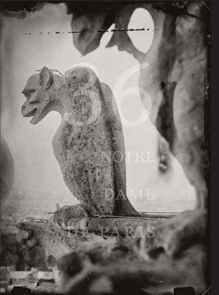 Cover image for 9798890180872 - Tomas Van Houtryve: 36 Views of Notre Dame