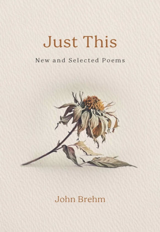 Cover image for 9798890700520 - Just This