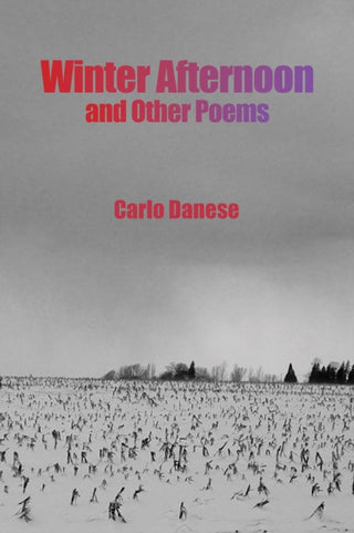 Cover image for 9798891553293 - Winter Afternoon and Other Poems