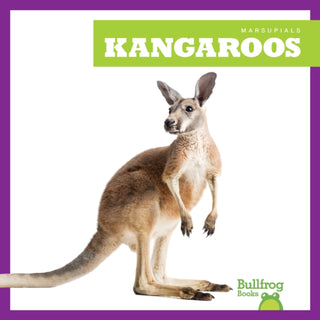 Supplemental image for 9798892135160 - Kangaroos