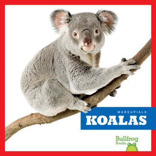 Cover image for 9798892135191 - Koalas