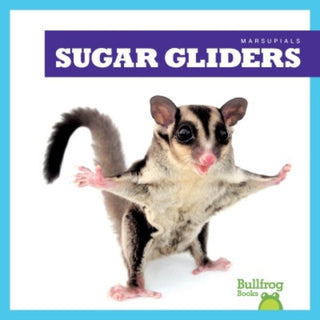 Cover image for 9798892135252 - Sugar Gliders