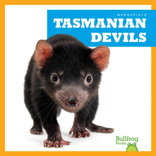 Supplemental image for 9798892135283 - Tasmanian Devils