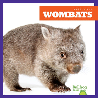 Supplemental image for 9798892135313 - Wombats