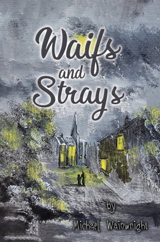 Cover image for 9798895430408 - Waifs and Strays