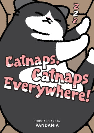 Cover image for 9798897654581 - Catnaps, Catnaps Everywhere!