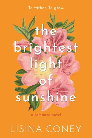 Supplemental image for 9798987758342 - Brightest Light of Sunshine