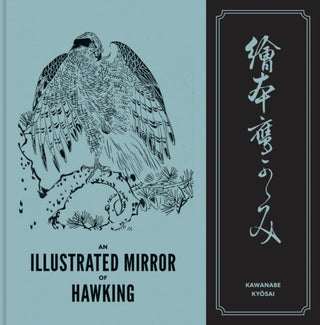 Supplemental image for 9798987929377 - An Illustrated Mirror of Hawking