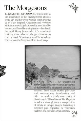 Cover image for 9798988606123 - Morgesons, the
